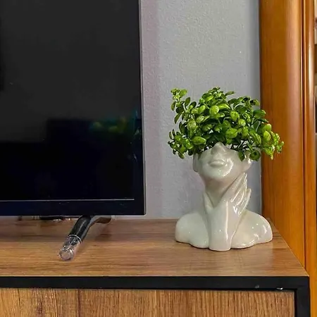 Apartment 22°bs *pazari View *