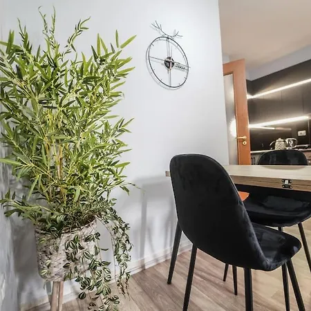 22°bs *pazari View
