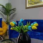22°bs *pazari View